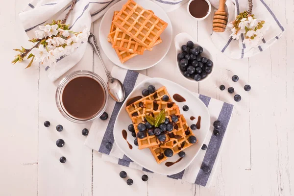 Waffles Blueberries Chocolate Cream — Stock Photo, Image