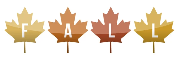 Fall leaves illustration design — Stock Photo, Image