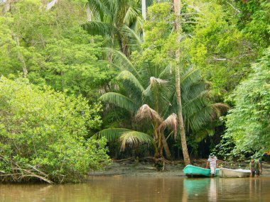 eski bir tekne ve yerli sahilde