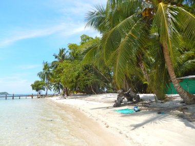 temiz su ile tropikal deniz ve plaj