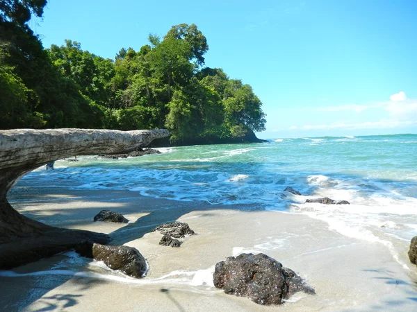 Praia e mar tropical com água limpa — Fotografia de Stock