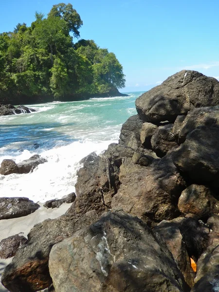 Пляж і тропічне море з чистою водою — стокове фото