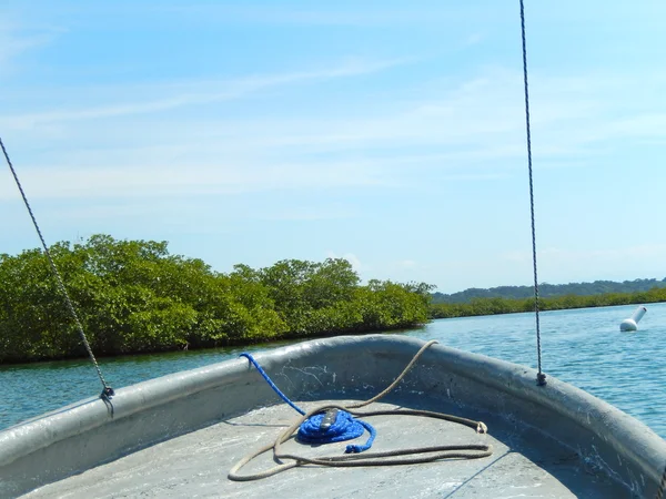 Båt och tät tropisk vegetation — Stockfoto