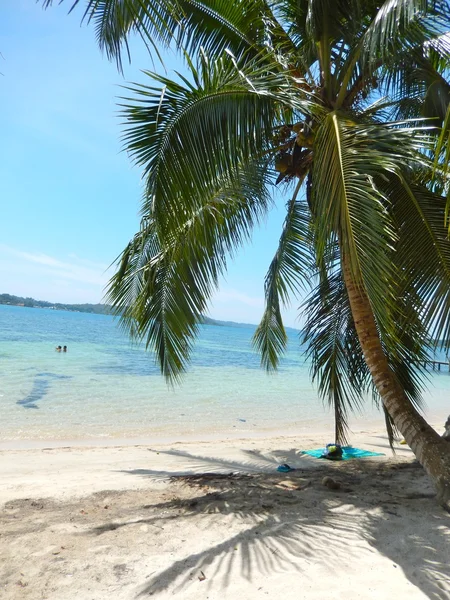 Stranden och tropiska havet med klart vatten — Stockfoto