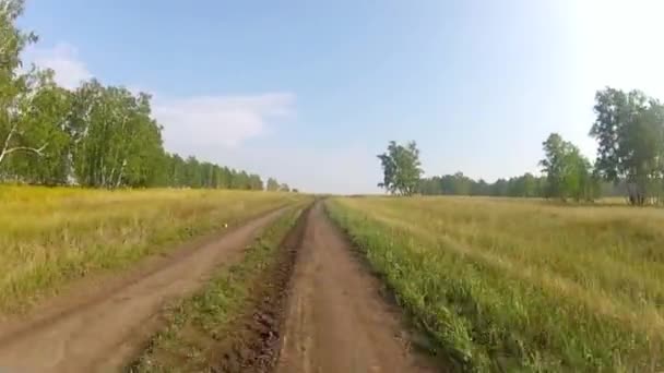 Rijden door een enorme gras bergachtige landschap — Stockvideo