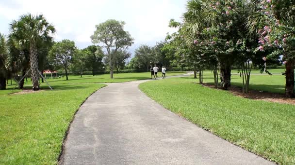 Jóvenes corriendo en el parque. Equipo . — Vídeo de stock