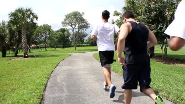 Young men jogging on a straight line. Back view — Stock Video