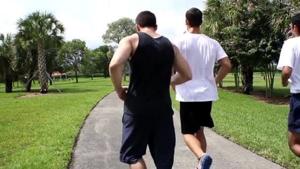 Jonge mannen joggen op een rechte lijn. Achteraanzicht — Stockvideo