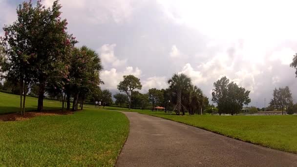 Young men running in park. — Stock Video