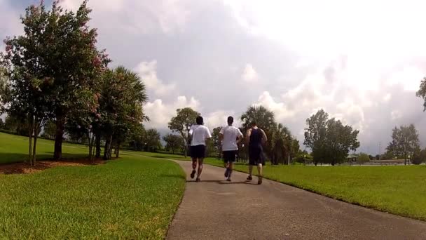 Jóvenes corriendo en el parque . — Vídeo de stock