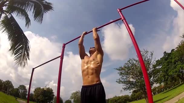 L'athlète tire sur la barre. Pullups — Video