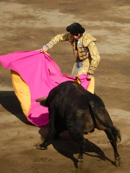 Lima, listopad 2013: hiszpański torero padilla — Zdjęcie stockowe