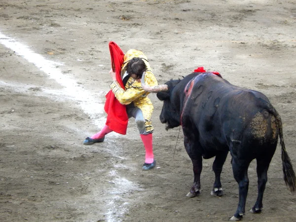 Peru - nov 2013: spanska torero juan jose padilla — Stockfoto