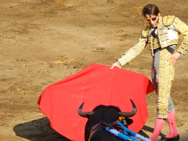 PERU - NOV 2013: torero espanhol Juan Jose Padilla — Fotografia de Stock