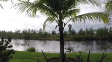 Everglades timelapse