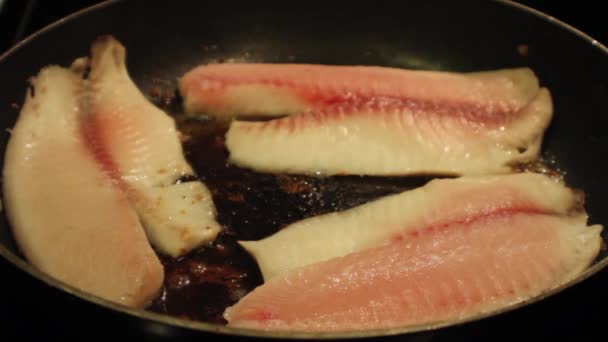 Cozinhar peixe fresco — Vídeo de Stock