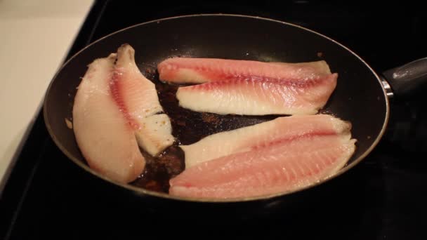Gotowania świeżych ryb — Wideo stockowe