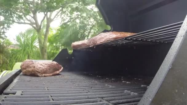 Scena del barbecue. bbq — Video Stock
