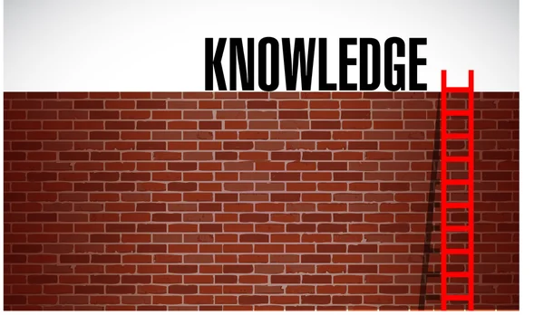 Ladder to knowledge illustration design graphic — Stock Photo, Image