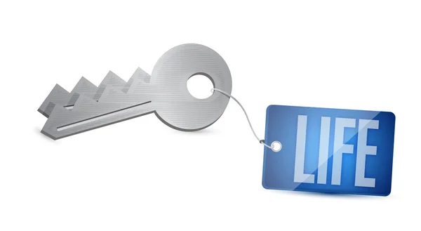 Life sleutels afbeelding ontwerp — Stockfoto
