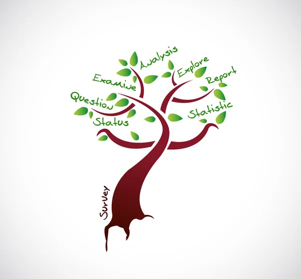 Survey growth tree model illustration design — Stock Photo, Image