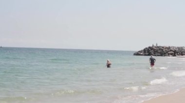 güzel miami florida plaj