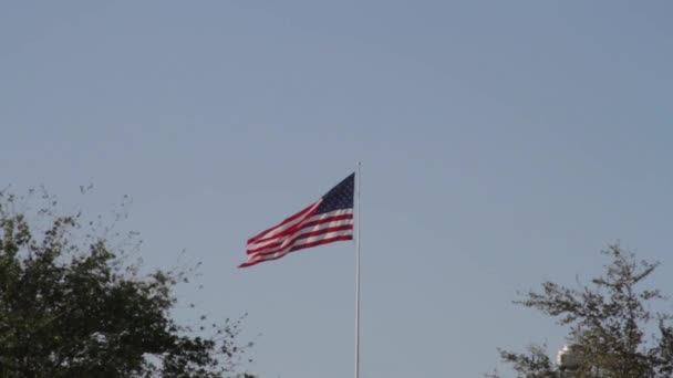 Bandera soplando en el viento — Vídeos de Stock