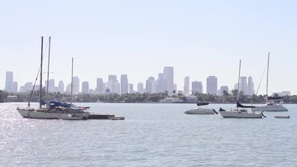 Båtar längs kusten söder om miami. Miami skyline — Stockvideo
