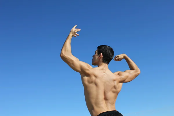 Male bodybuilder model back view — Stock Photo, Image