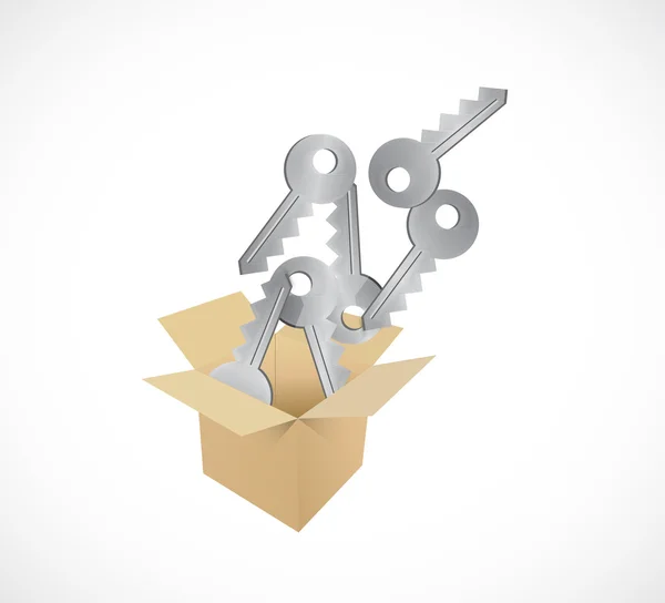 Keys inside a box illustration design — Stock Photo, Image