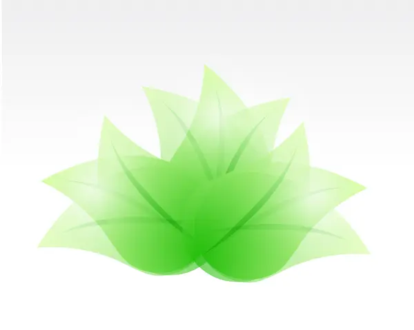 Set van bladeren afbeelding ontwerp — Stockfoto