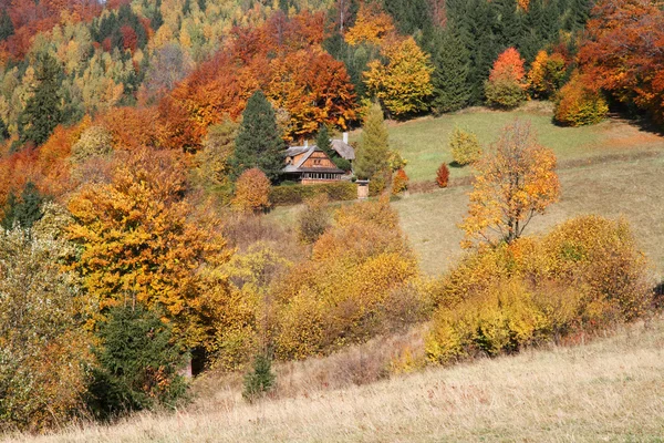 Котедж восени — стокове фото