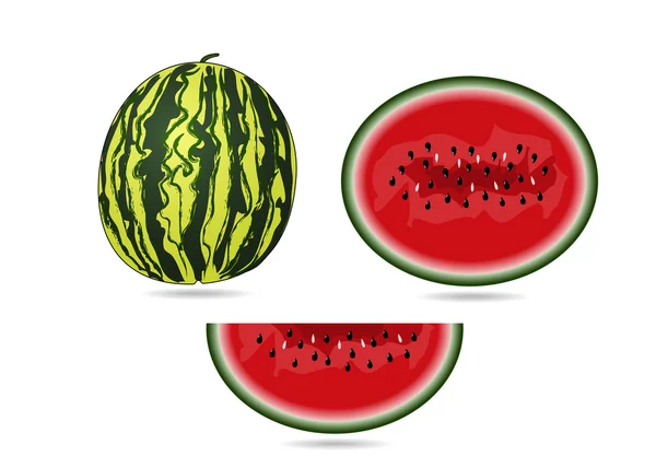 Melon d'eau — Image vectorielle