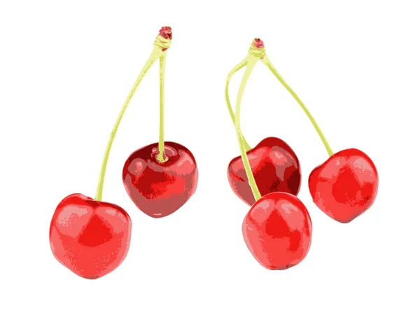 Cerezas dulces — Vector de stock