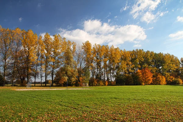 Vackra hösten — Stockfoto