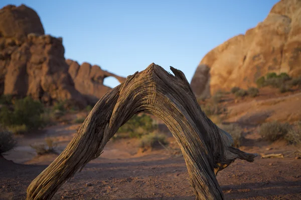 Formación de roca arco ventana sur arcos Parque Nacional moab en utah — Foto de Stock