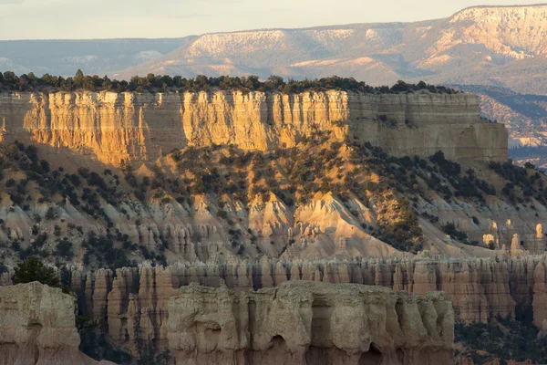 Anfiteatros de Bryce Canyon — Foto de Stock