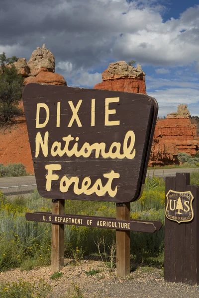 Floresta nacional de Dixie — Fotografia de Stock