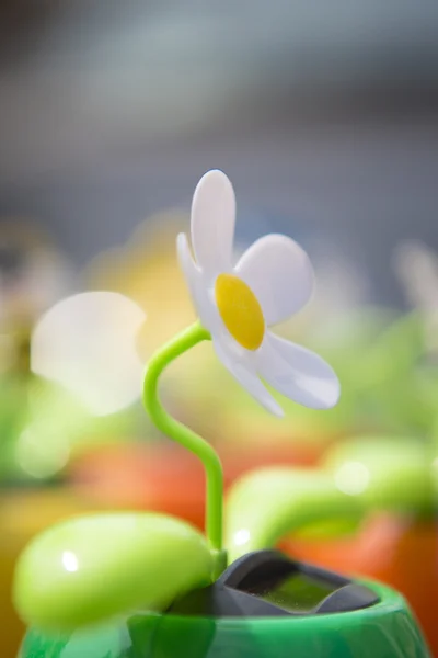 Plastic flower — Stock Photo, Image