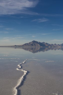 Bonneville tuz daireler uluslararası otomobil yarışçısı