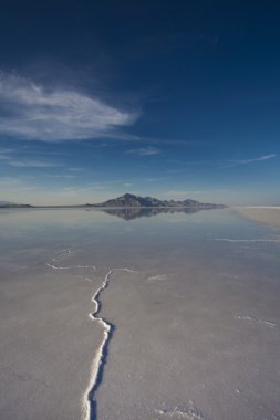 Bonneville tuz daireler uluslararası otomobil yarışçısı