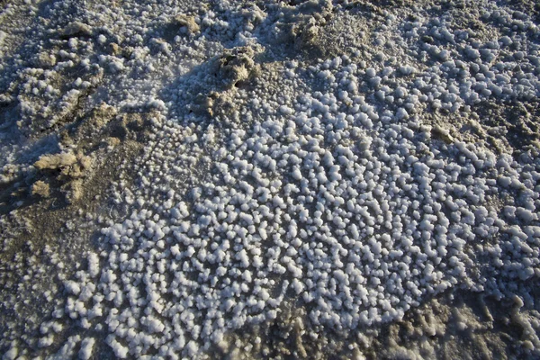 ボンネビル塩湖の干潟で天然塩 — ストック写真