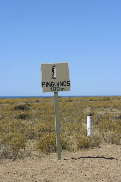 Warnung vor Pinguinen — Stockfoto