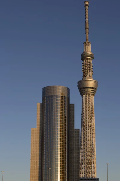 スカイツリー、東京背景 — ストック写真