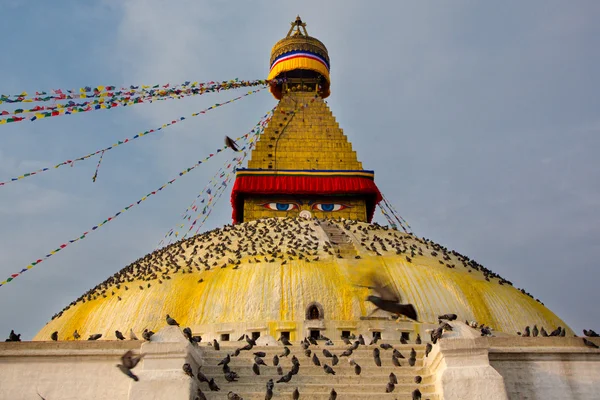 Boudhanath stupa och fåglar — Stockfoto