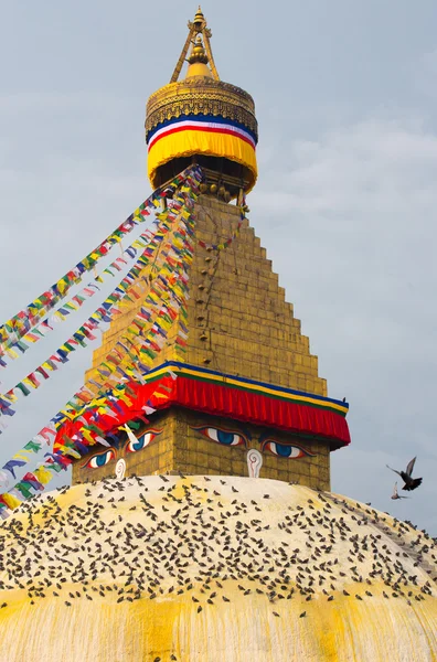 Boudhanath stupa ve kuşlar — Stok fotoğraf