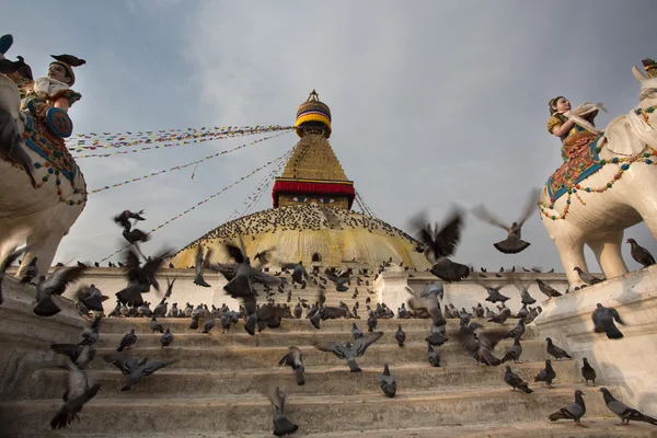 Στούπα Boudhanath και πουλιά — Φωτογραφία Αρχείου