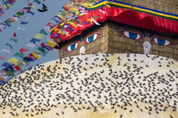 Boudhanath Stupa and birds — Stock Photo, Image