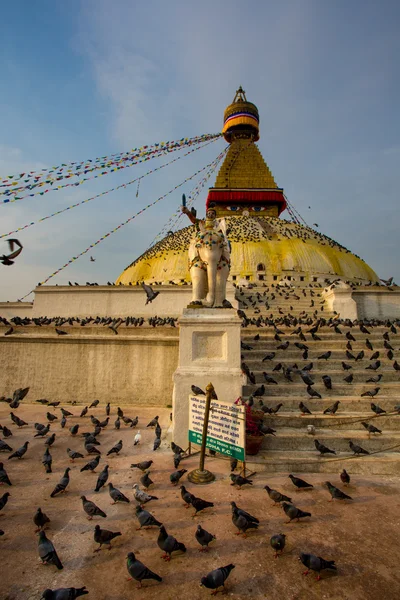 Boudhanath Stupa y las aves — Foto de Stock
