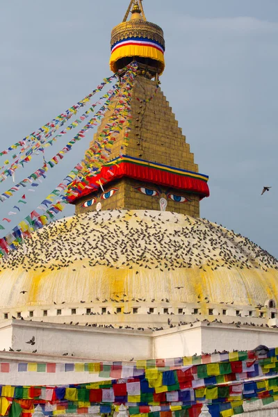 Boudhanath Stupa e pássaros — Fotografia de Stock